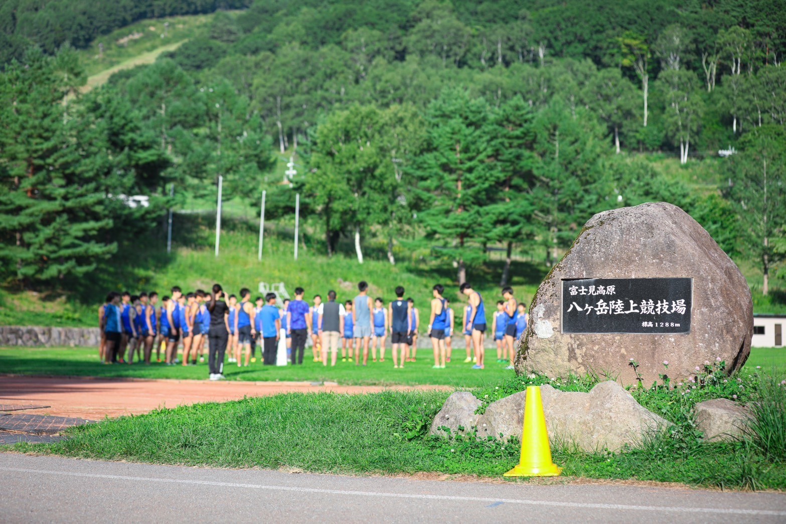 限定コンテンツ